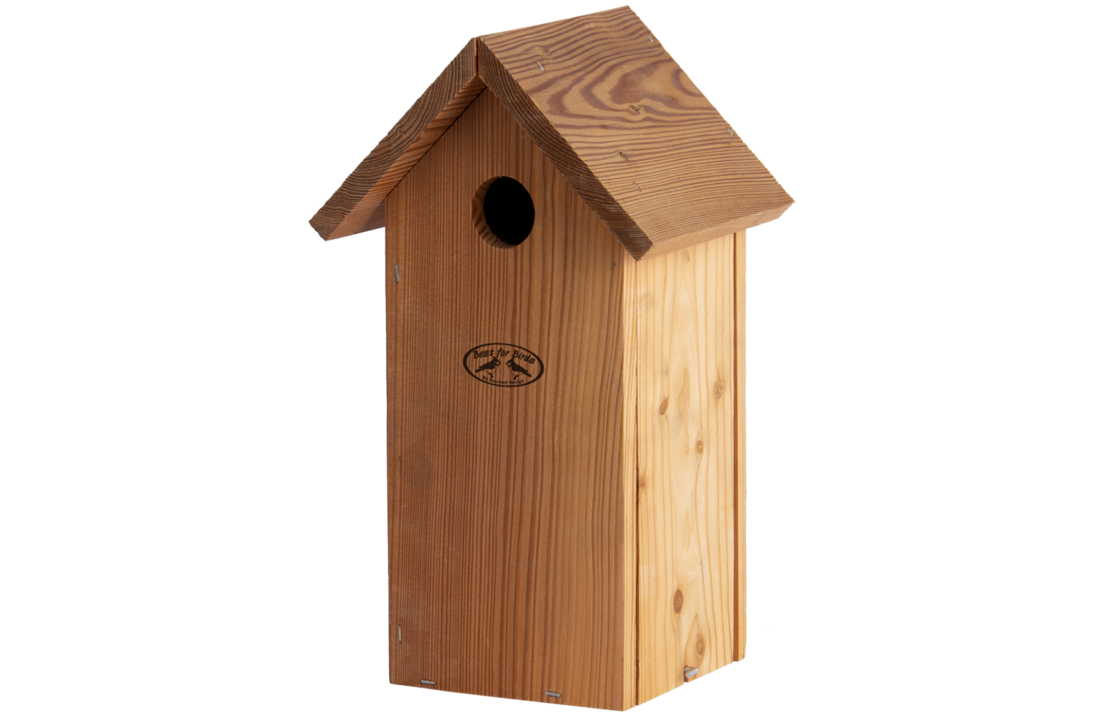 Nest box great tit douglas wood