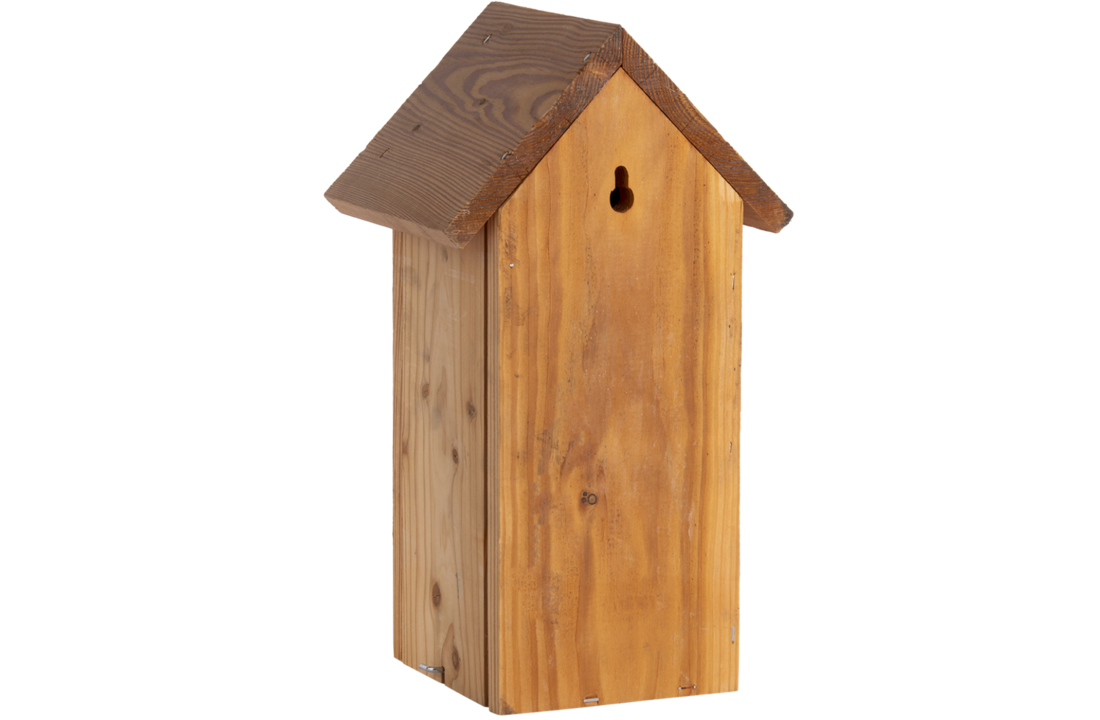 Nest box great tit douglas wood