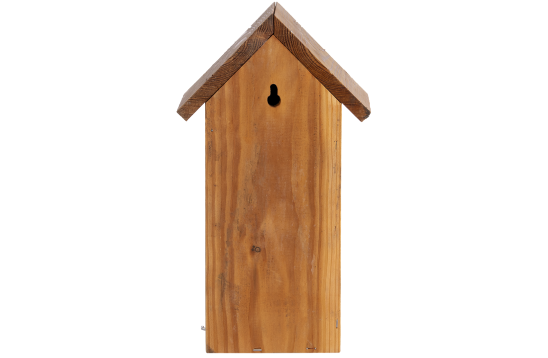 Nest box great tit douglas wood