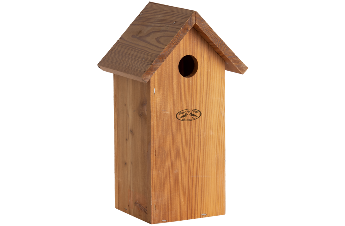 Nest box great tit douglas wood
