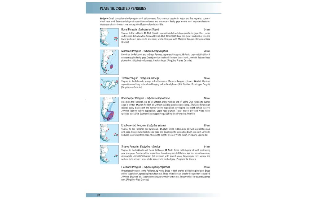 Birds of Argentina and the Southwest Atlantic