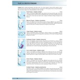 Birds of Argentina and the Southwest Atlantic