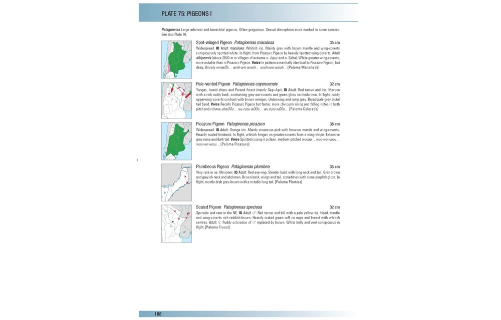 Birds of Argentina and the Southwest Atlantic