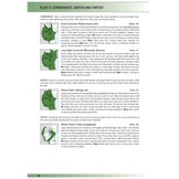 Birds of East Africa - Kenya, Tanzania, Rwanda, Uganda, Burundi