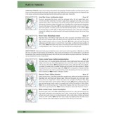 Birds of East Africa - Kenya, Tanzania, Rwanda, Uganda, Burundi