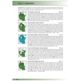 Birds of East Africa - Kenya, Tanzania, Rwanda, Uganda, Burundi