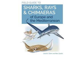 Field Guide to Sharks, Rays & Chimaeras of Europe and the Mediterranean