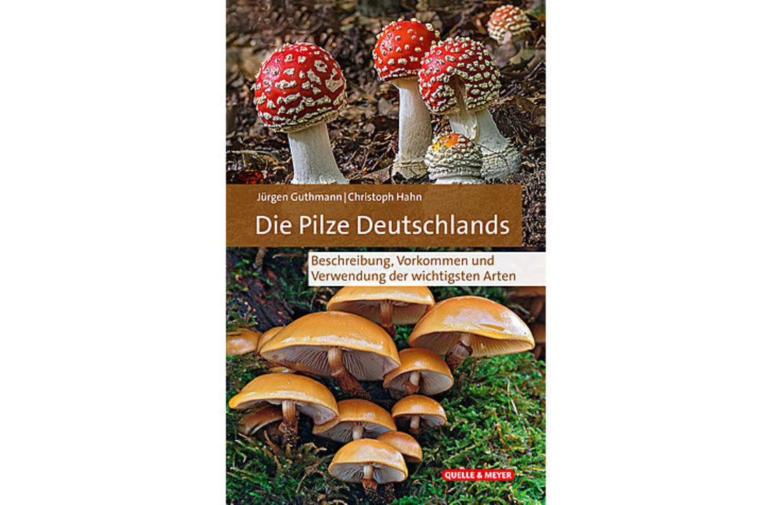 Die Pilze Deutschlands - Beschreibung - Vorkommen und Verwendung der wichtigsten Arten
