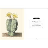 Kew Pocketbooks: Cacti