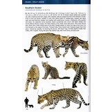 Felids and Hyenas of the World