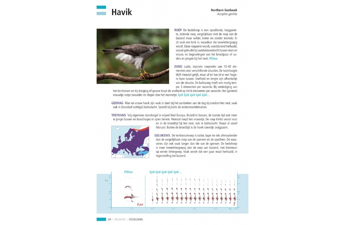 Veldgids Vogelzang - Vogels herkennen aan hun zang en roep