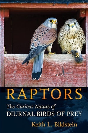 Raptors - The Curious Nature of Diurnal Birds of Prey