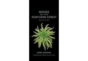 Mosses of the Northern Forest