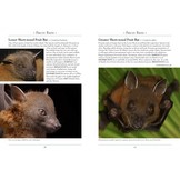 A Naturalist's Guide to the Mammals of Sri Lanka