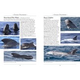 A Naturalist's Guide to the Mammals of Sri Lanka