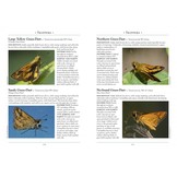 A Naturalist's Guide to the Butterflies of Australia