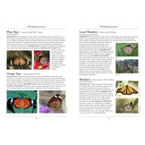 A Naturalist's Guide to the Butterflies of Australia