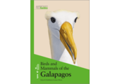 Birds and Mammals of the Galapagos