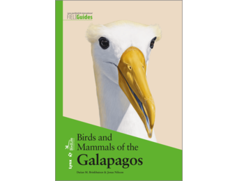 Birds and Mammals of the Galapagos