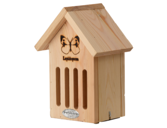 Butterfly box silhouette