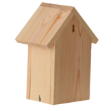 Schmetterlinghaus mit Silhouette