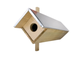 Little owl nest box