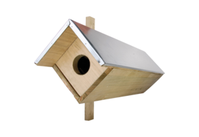 Little owl nest box