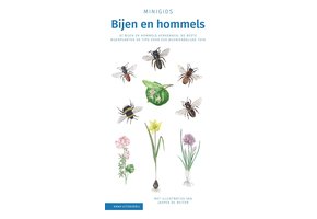 Minigids Bijen en Hommels