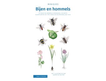 Minigids Bijen en Hommels