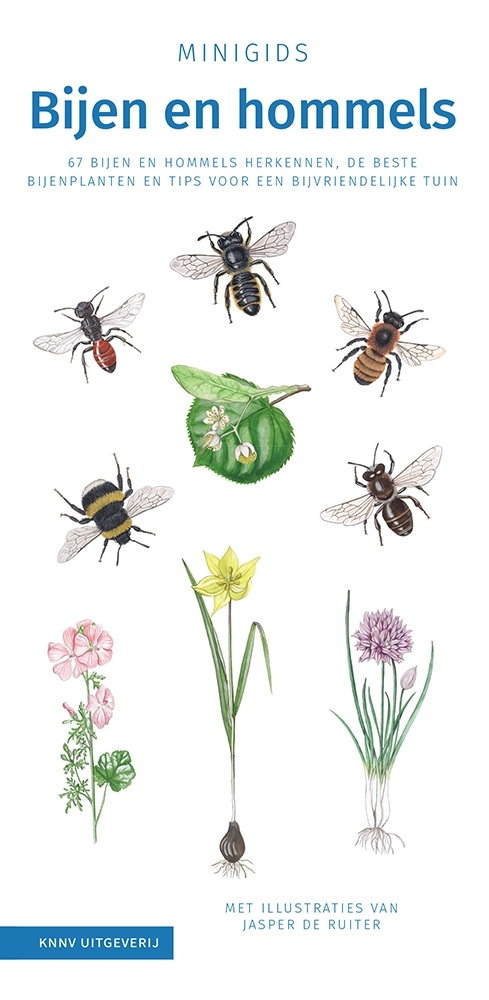 Minigids Bijen en Hommels - 67 bijen en hommels herkennen - nesthulp en bijenplanten