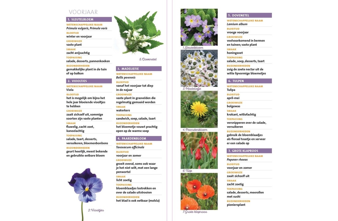 Minigids Eetbare Bloemen - 50 eetbare bloemen - met smaak en toepassing in de keuken
