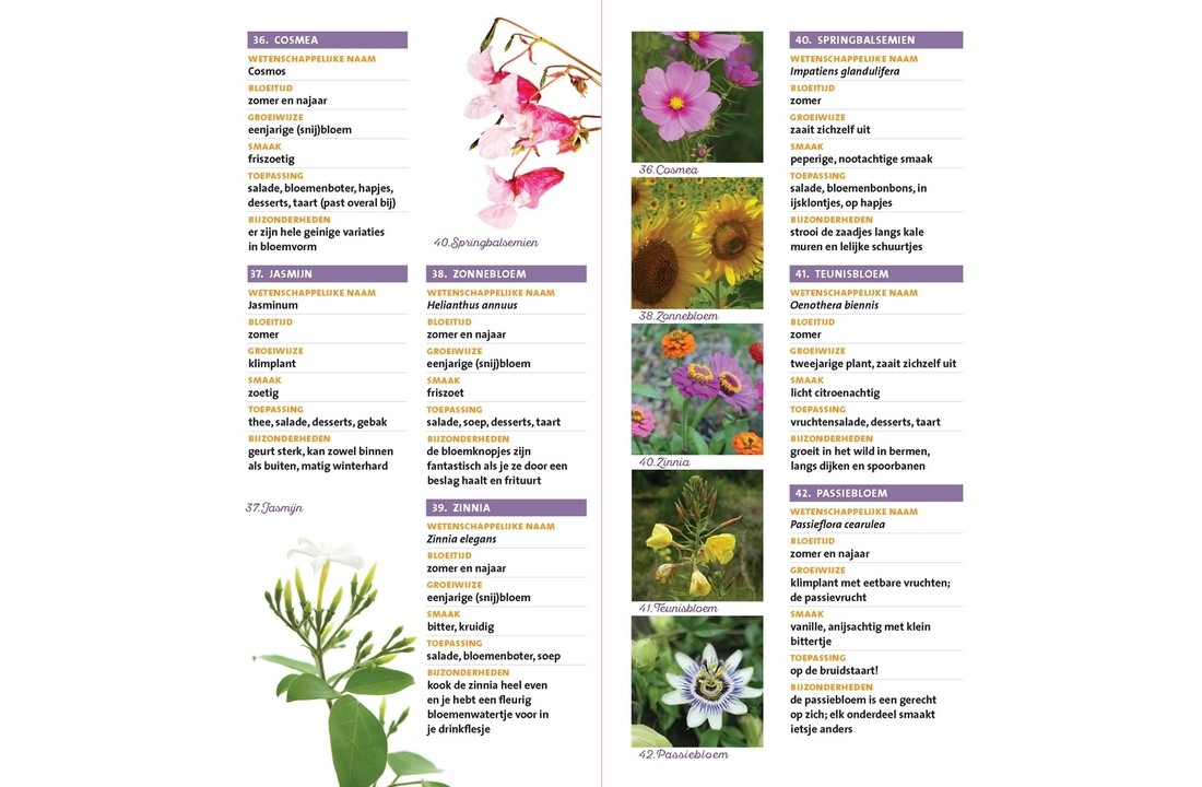 Minigids Eetbare Bloemen - 50 eetbare bloemen - met smaak en toepassing in de keuken