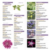 Minigids Eetbare Bloemen - 50 eetbare bloemen - met smaak en toepassing in de keuken