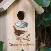 Zaunkönig Nistkasten mit Silhouette