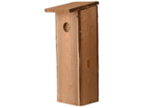 Nest box Woodpecker