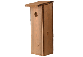 Nest box Woodpecker