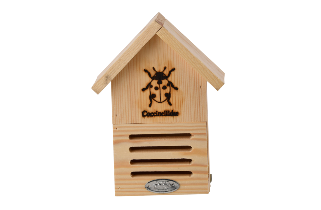 Ladybug box silhouette