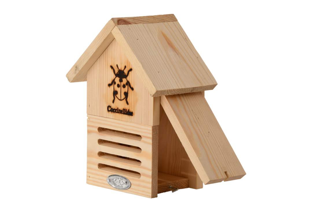 Ladybug box silhouette