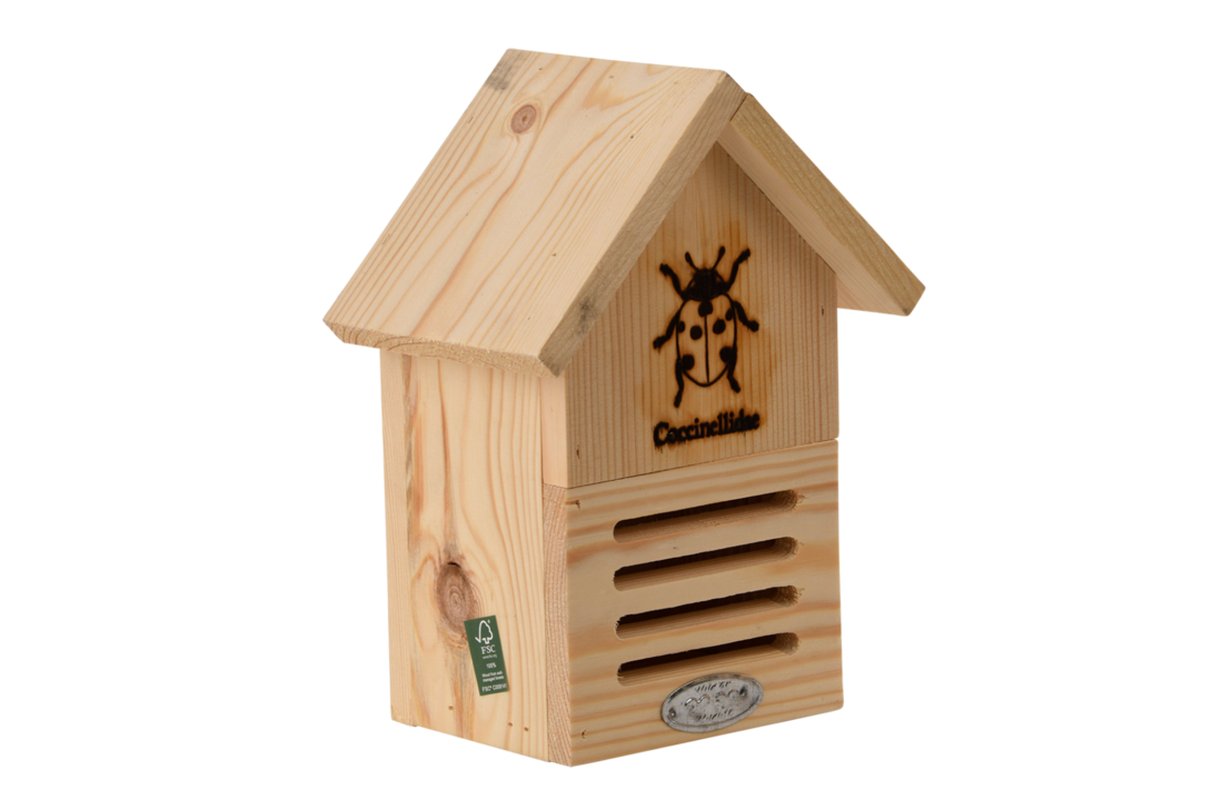 Ladybug box silhouette