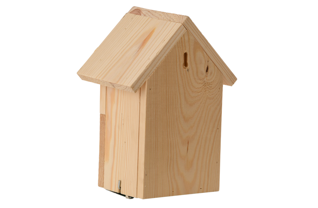 Ladybug box silhouette