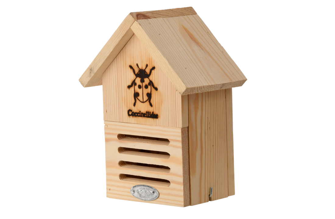 Ladybug box silhouette