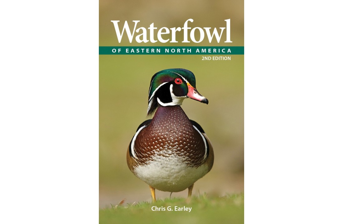Waterfowl of Eastern North America