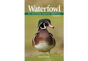 Waterfowl of Eastern North America