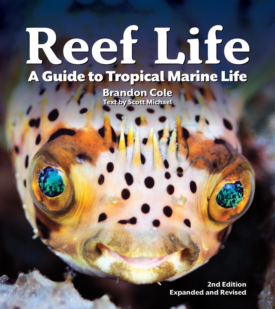 Reef Life - A Guide to Tropical Marine Life