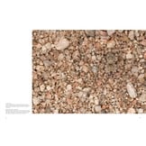 The Champions of Camouflage