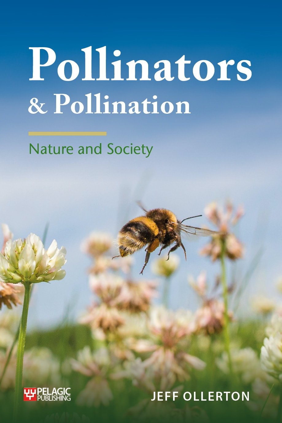 Pollinators & Pollination - Nature and Society