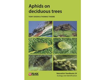Aphids on Deciduous Trees