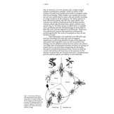 Aphids on Deciduous Trees