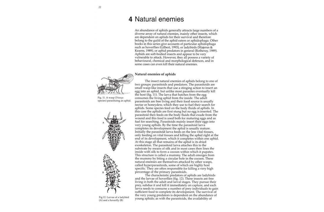 Aphids on Deciduous Trees