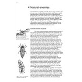 Aphids on Deciduous Trees